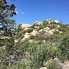 photo thumbnail #3