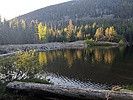 photo thumbnail #6