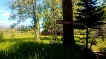 photo thumbnail #11