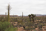 photo thumbnail #7