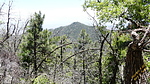2019-06-05 :1: Pioneer Ferndell & Middle Trails :: CannondaleKid