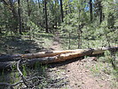 photo thumbnail #5