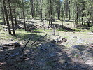 photo thumbnail #10