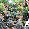 photo thumbnail #3