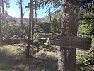 recent photo