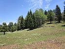 photo thumbnail #8