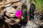 photo thumbnail #13