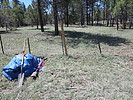 photo thumbnail #6