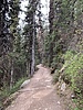 photo thumbnail #2