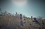 photo thumbnail #2