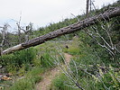 photo thumbnail #1
