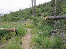photo thumbnail #3