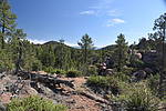 photo thumbnail #2