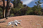 photo thumbnail #7