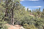 photo thumbnail #9