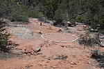 photo thumbnail #11