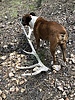 photo thumbnail #2