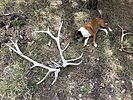 photo thumbnail #3