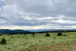 photo thumbnail #11