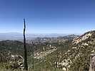 photo thumbnail #1