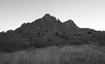 photo thumbnail #1