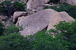 photo thumbnail #4