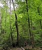 photo thumbnail #11