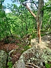 photo thumbnail #11