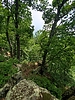 photo thumbnail #13