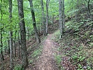 photo thumbnail #9