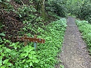 photo thumbnail #10