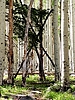 photo thumbnail #4