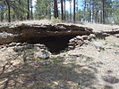 photo thumbnail #5