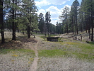 photo thumbnail #6
