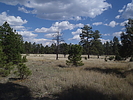 photo thumbnail #7