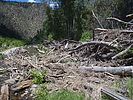 photo thumbnail #12