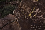 photo thumbnail #1