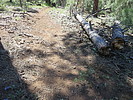 photo thumbnail #6
