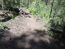 photo thumbnail #8