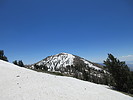 photo thumbnail #9