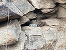 photo thumbnail #1