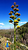 2019-06-22 :1: Little Wolf - Pine Creek - Grapevine Loop :: joebartels