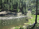 photo thumbnail #6