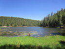 photo thumbnail #8