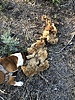 photo thumbnail #3
