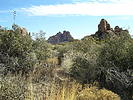 photo thumbnail #14