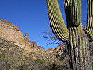 photo thumbnail #11