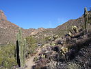 photo thumbnail #15