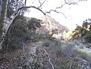 photo thumbnail #8