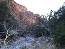 photo thumbnail #9